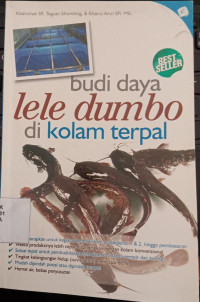 Budi Daya Lele Dumbo Di Kolam Terpal