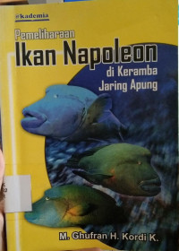 Pemeliharaan Ikan Napoleon Di Keramba Jaring Apung