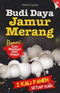 BUDIDAYA JAMUR MERANG