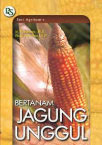 Bertanam Jagung Unggul