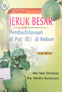 Jeruk Besar Pembudidayaan  Di Pot Dan Di Kebun