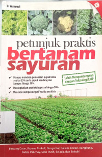 Petunjuk Praktis Bertanam Sayuran