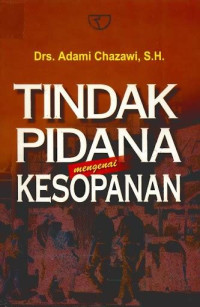 Tindak Pidana Kesopanan